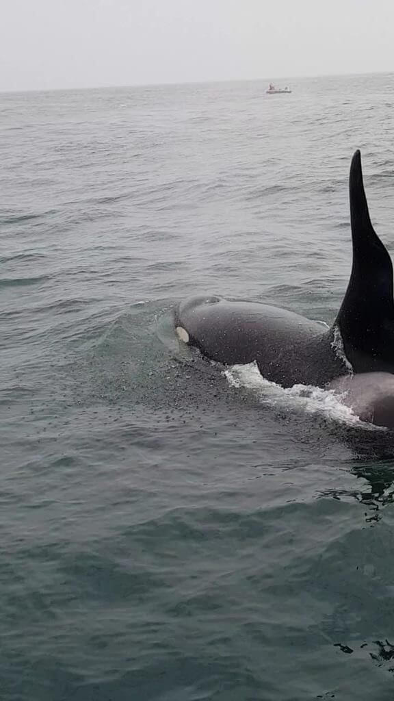 Трансфер в Камчатском крае