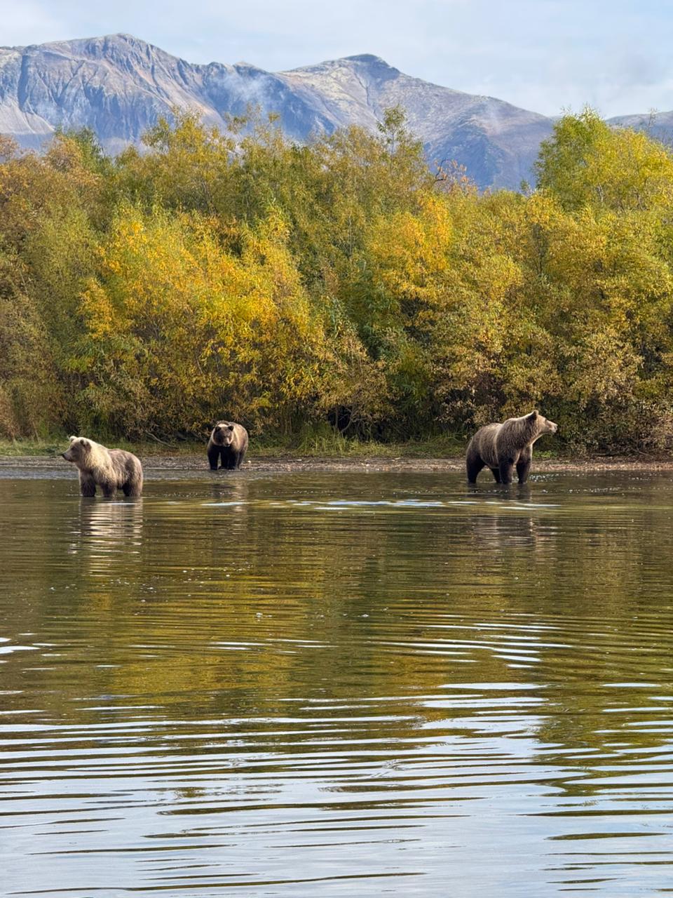 Трансфер в Камчатском крае