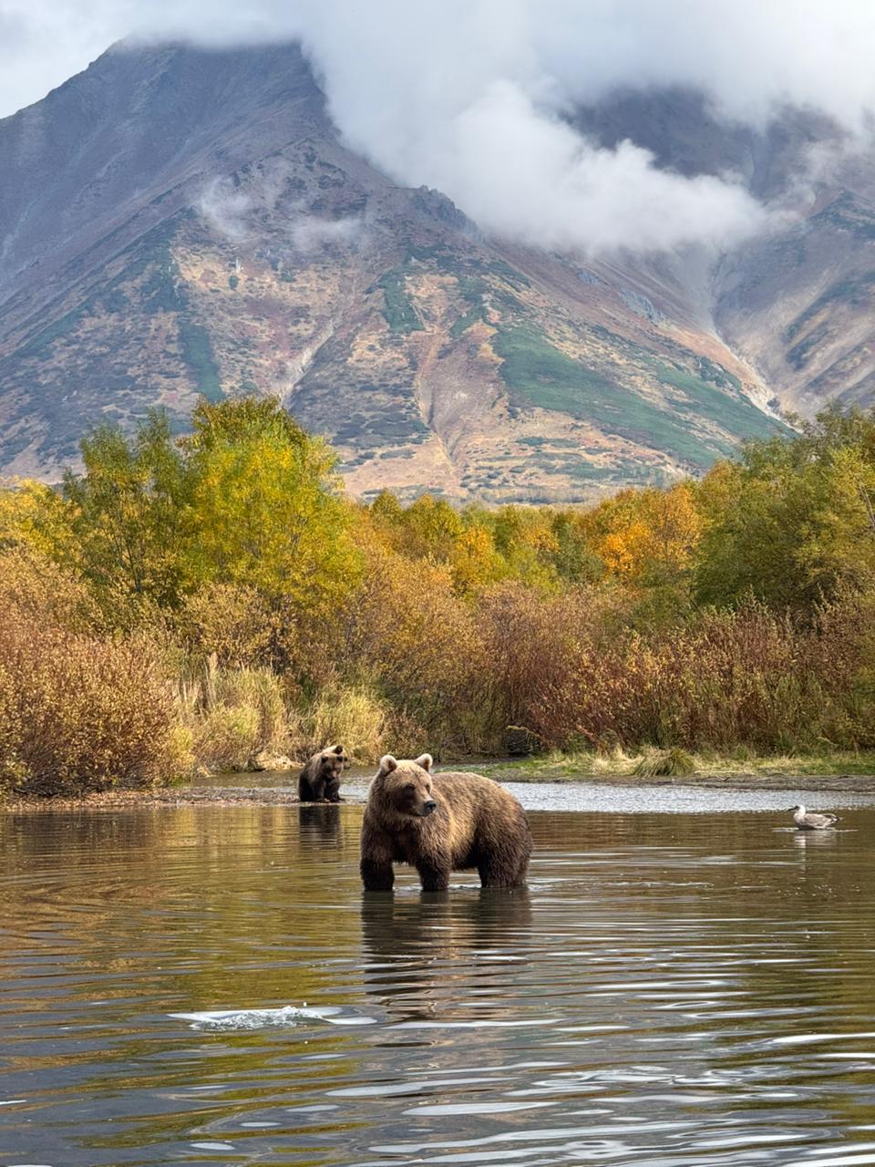 Трансфер в Камчатском крае
