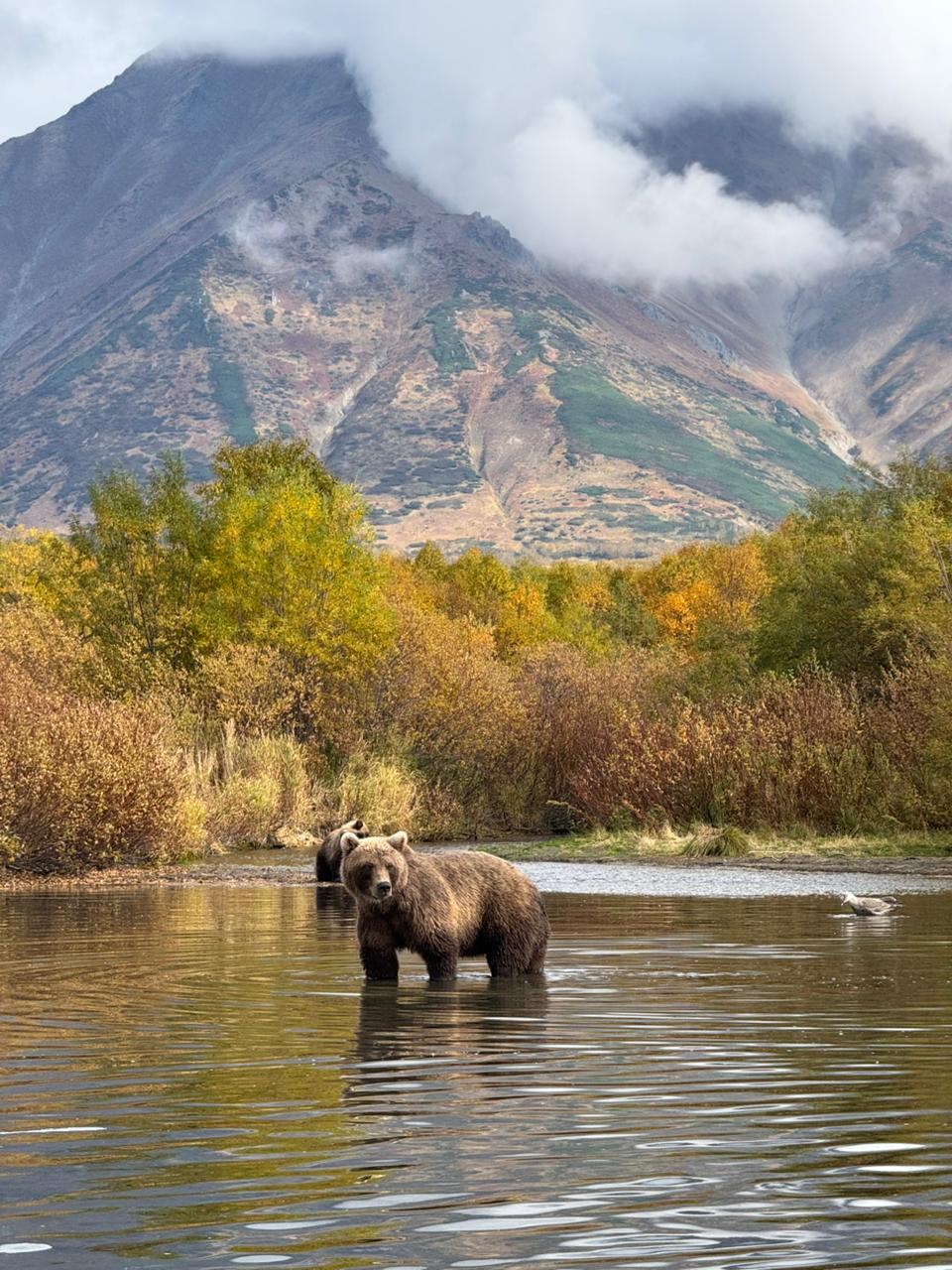 Трансфер в Камчатском крае