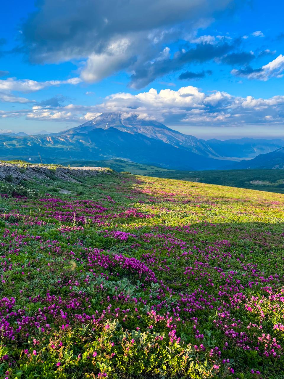 Трансфер в Камчатском крае