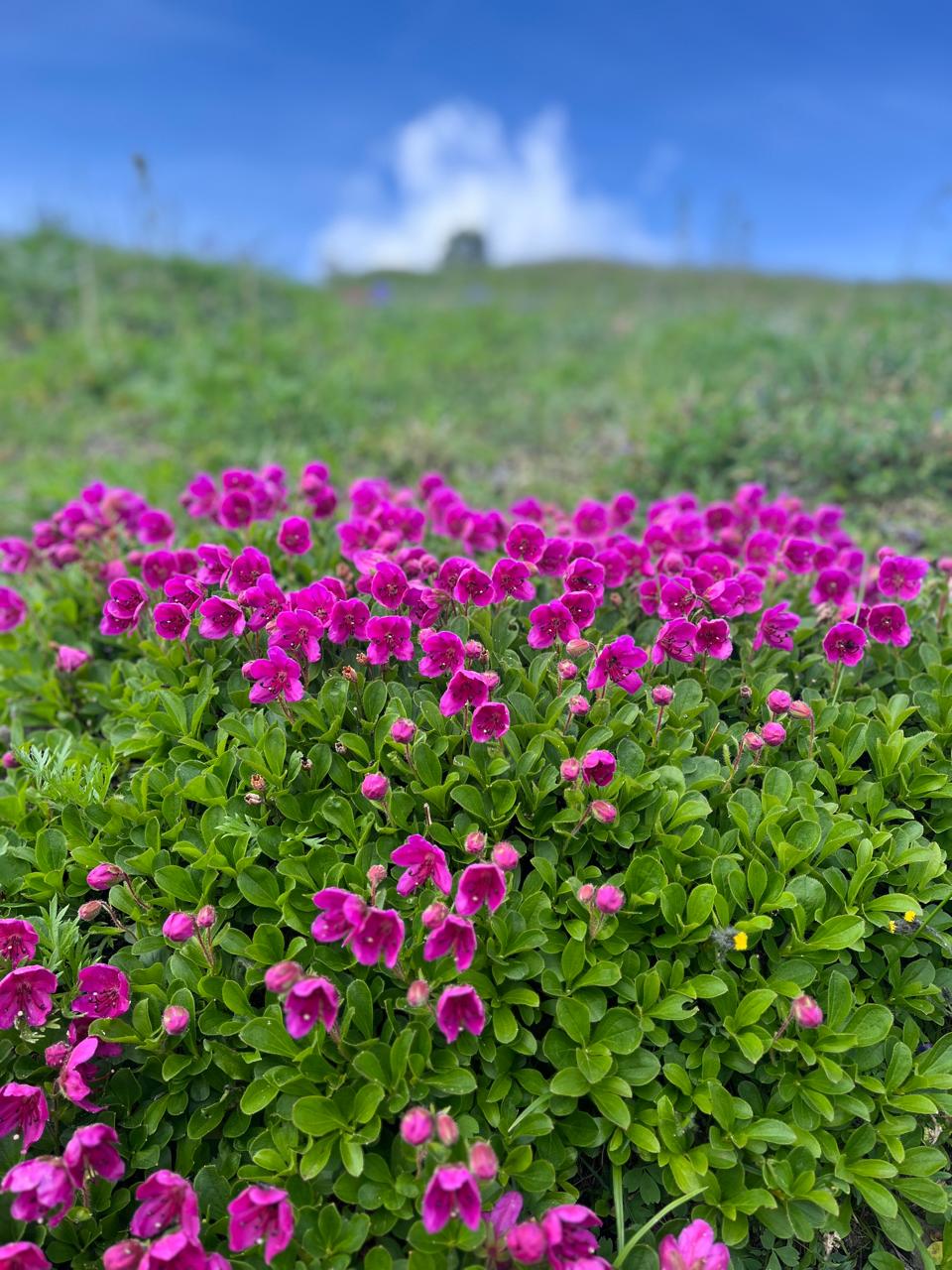 Трансфер в Камчатском крае