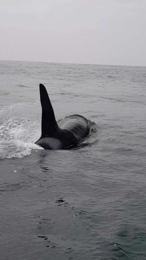 Трансфер в Камчатском крае